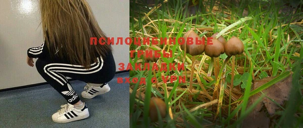 трава Володарск