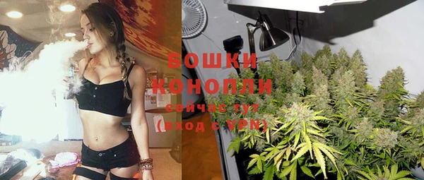 шишки Волоколамск