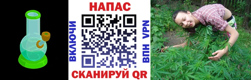 Купить  Раменское  Шишки марихуана White Widow 